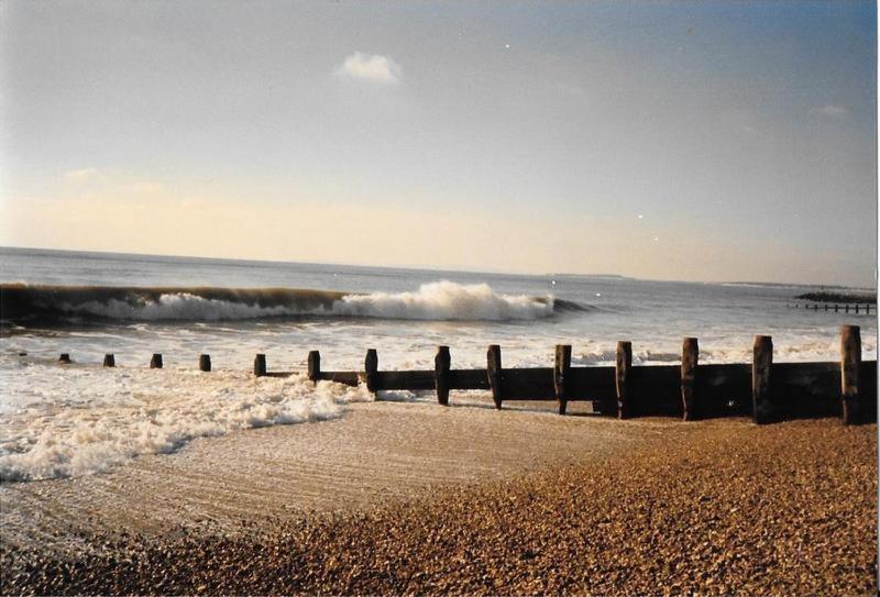 Pine Lodge Barton on Sea Esterno foto